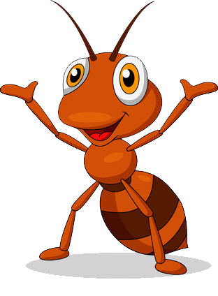 Ant