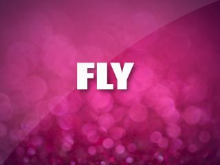 Fly
